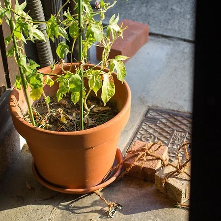 Guesthouse Mado Nagoja Zewnętrze zdjęcie